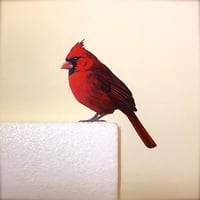 Image 2 of Wolsey Cardinal ~ Removable Wall sticker