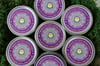 LAVENDER Healing Salve (4 oz)