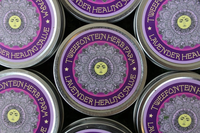 LAVENDER Healing Salve (4 oz)