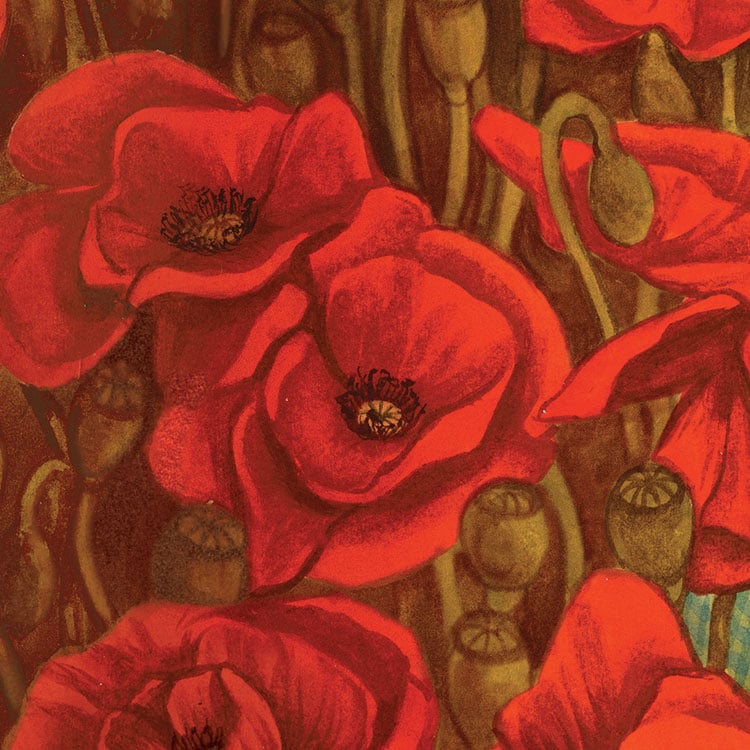 Image of Poppies