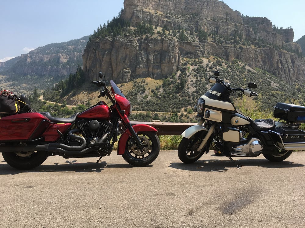 Image of Fairing Paint Option