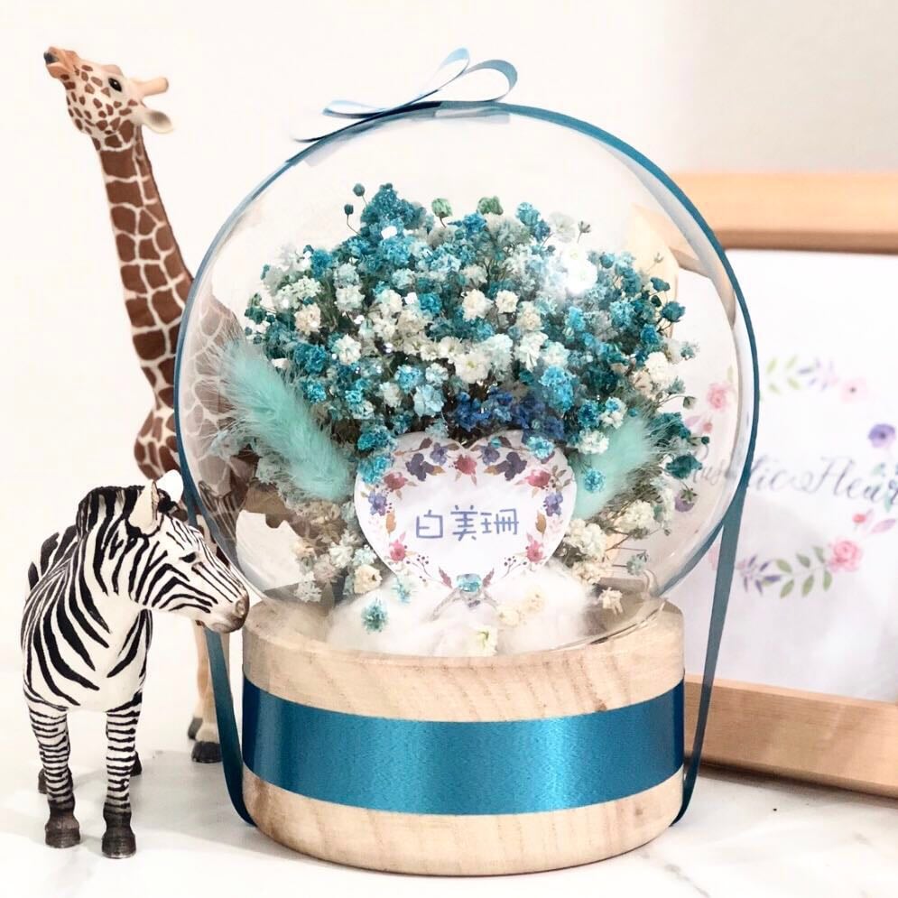 Image of Elsa in a Globe