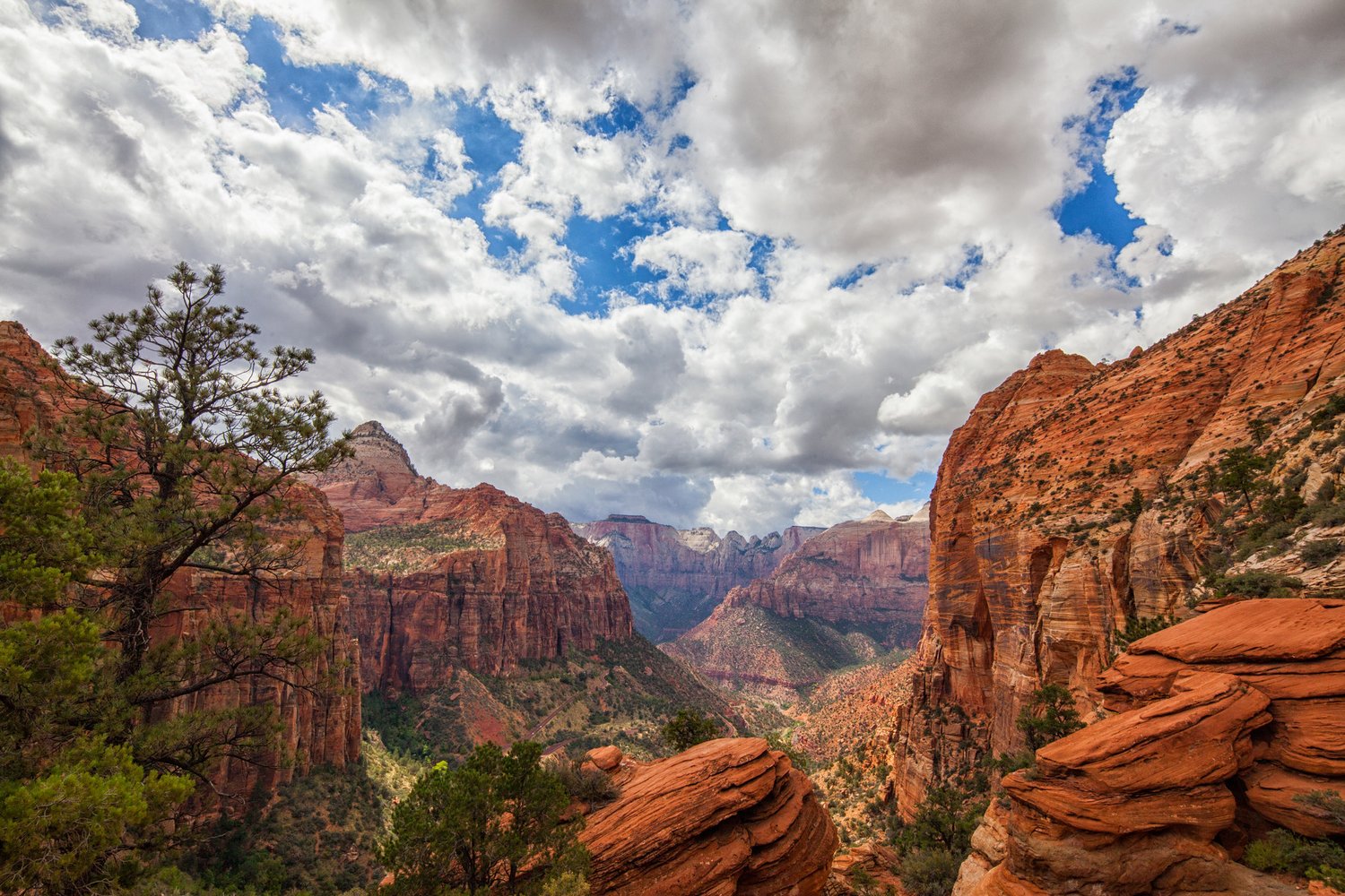 Image of Canyon Overlook