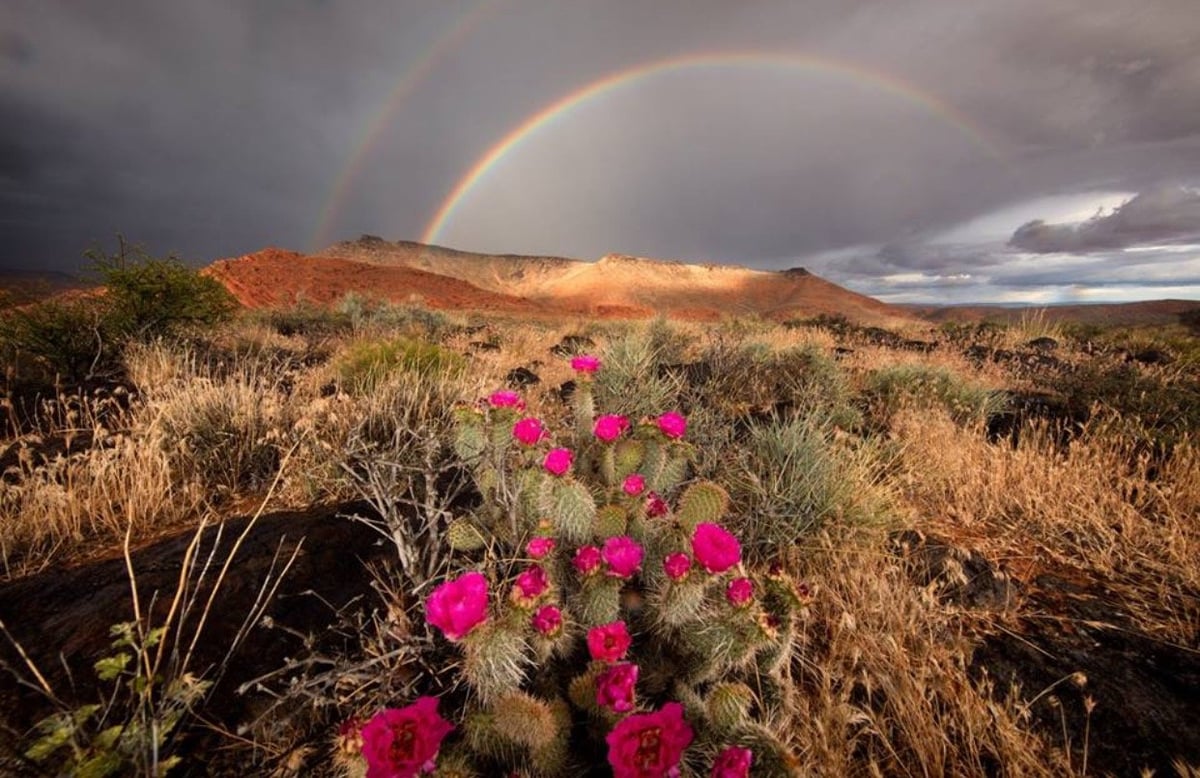 Desert Rainbow | RJ Hooper Photography