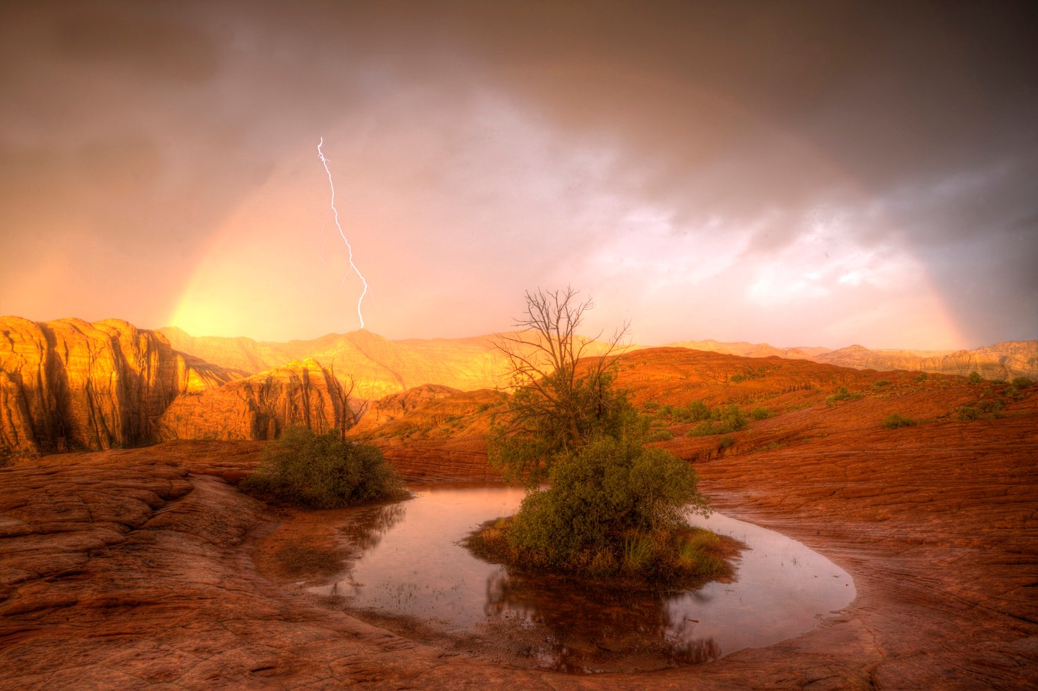 Image of Snow Canyon Glory