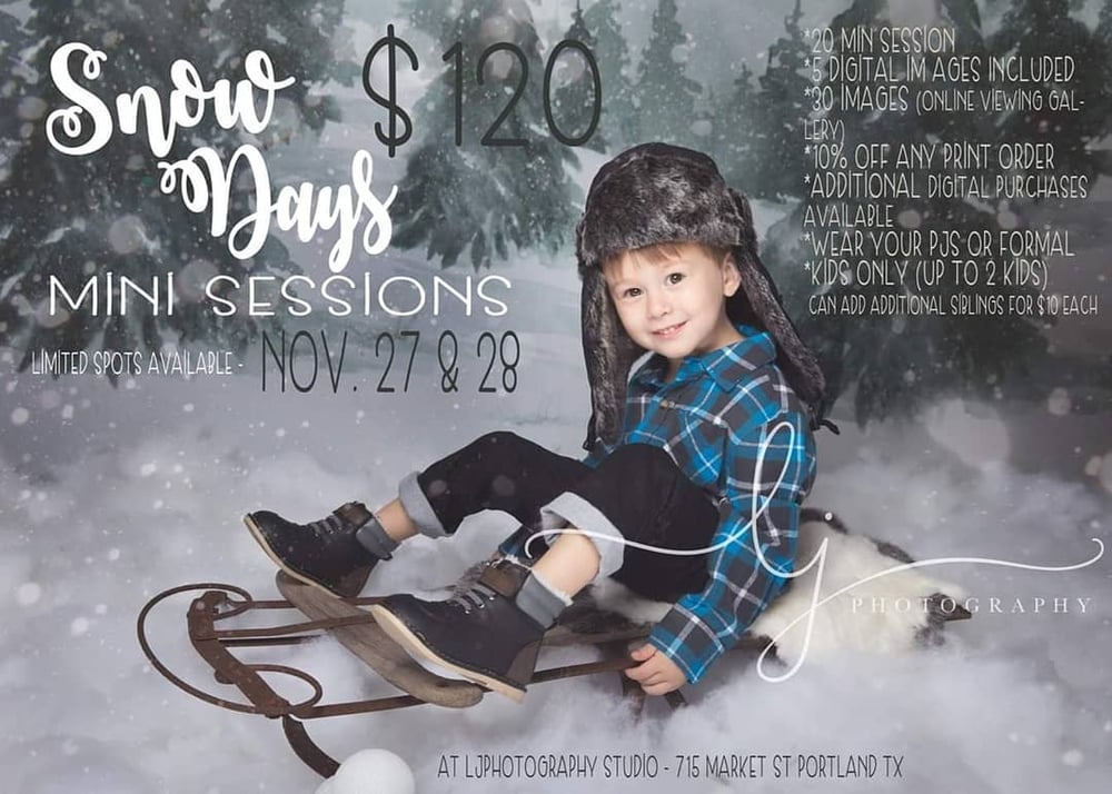 Image of Snow Days Mini Sessions