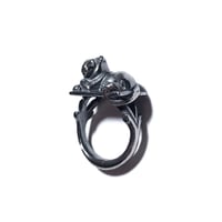 Image 2 of Guardian ring in sterling silver or gold