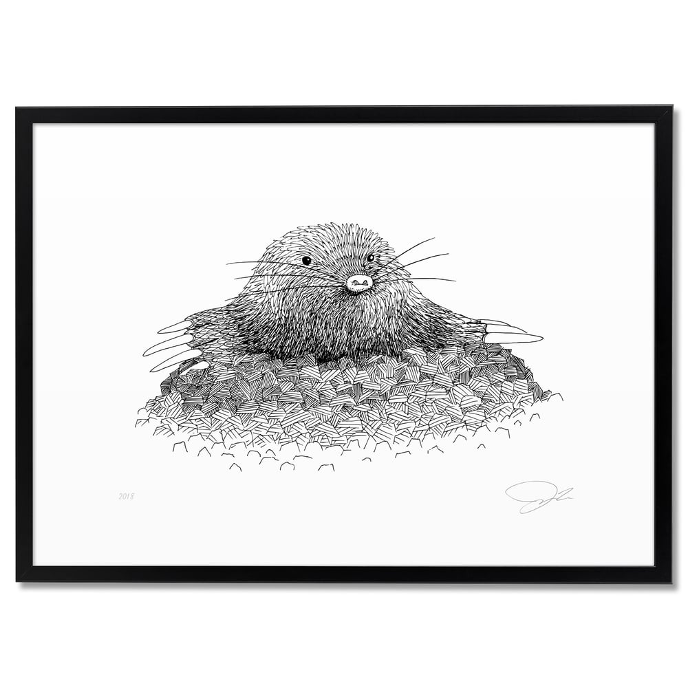 Print: Mole