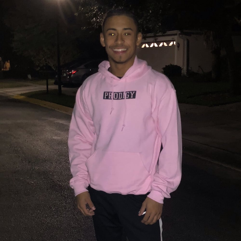 NEW BRAND PRODIGY PINK SILVER HOODIE