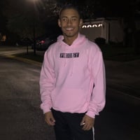 Image 1 of NEW BRAND PRODIGY PINK SILVER HOODIE