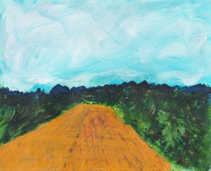 Image of The Back Field on the Day You Left