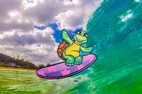 “Honu” surfer