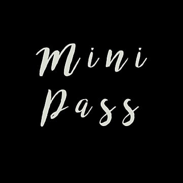 Image of Mini Pass