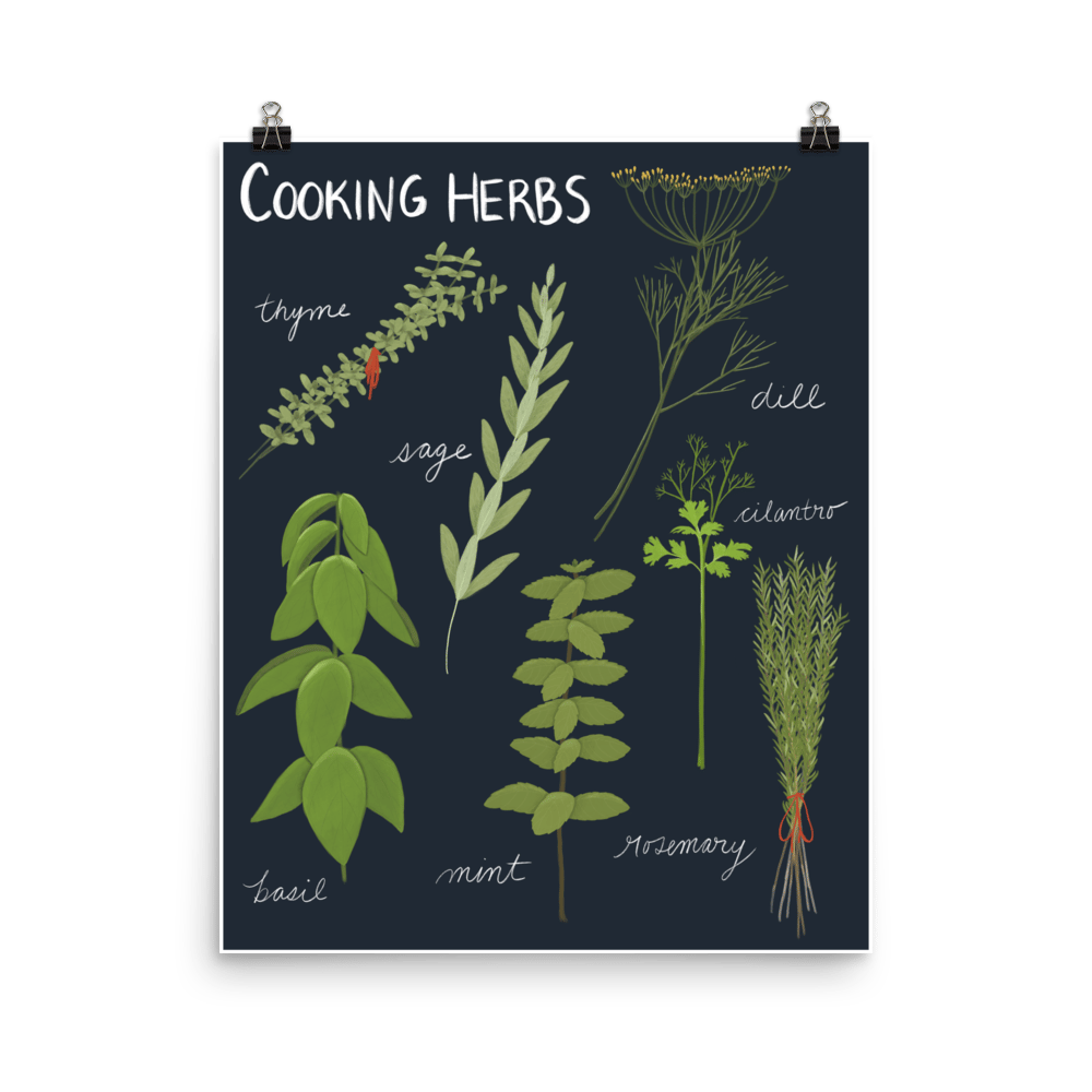 Image of Cooking Herbs