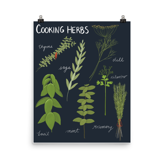 Image of Cooking Herbs