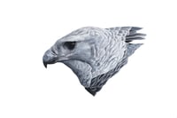 11x14" Limited Giclee Print: Harpy Eagle (Harpia harpyja)