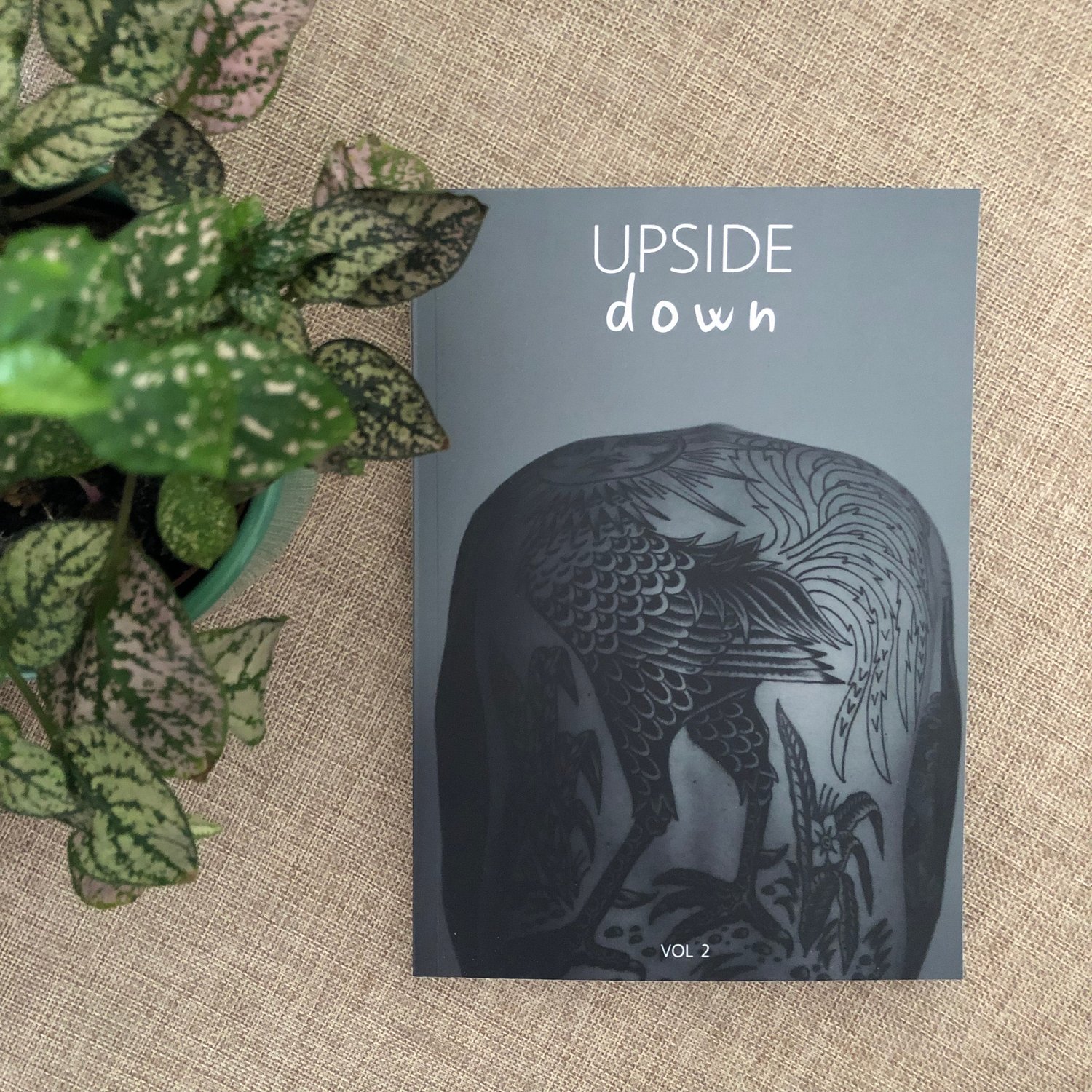 Image of Upside Down Vol. 2 - WITH TRACKING