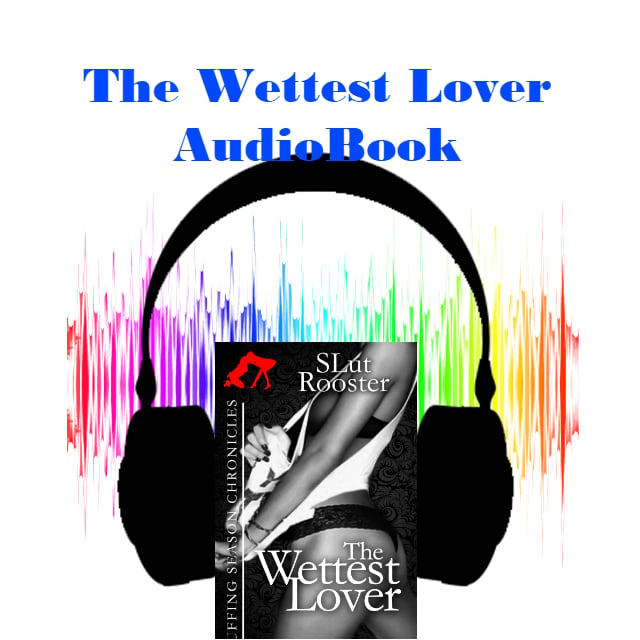 Image of Audiobook The Wettest Lover