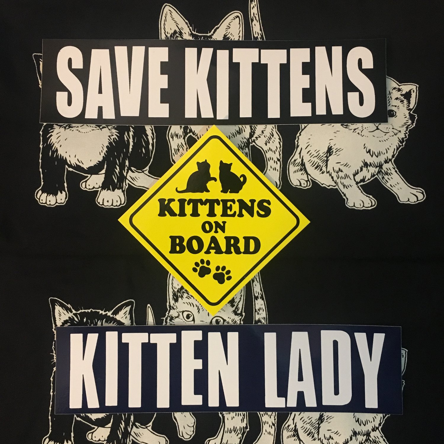 Image of Kittens On Board Sticker Set!