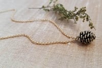 Image 3 of Simple Pine Cone - Antique Brass