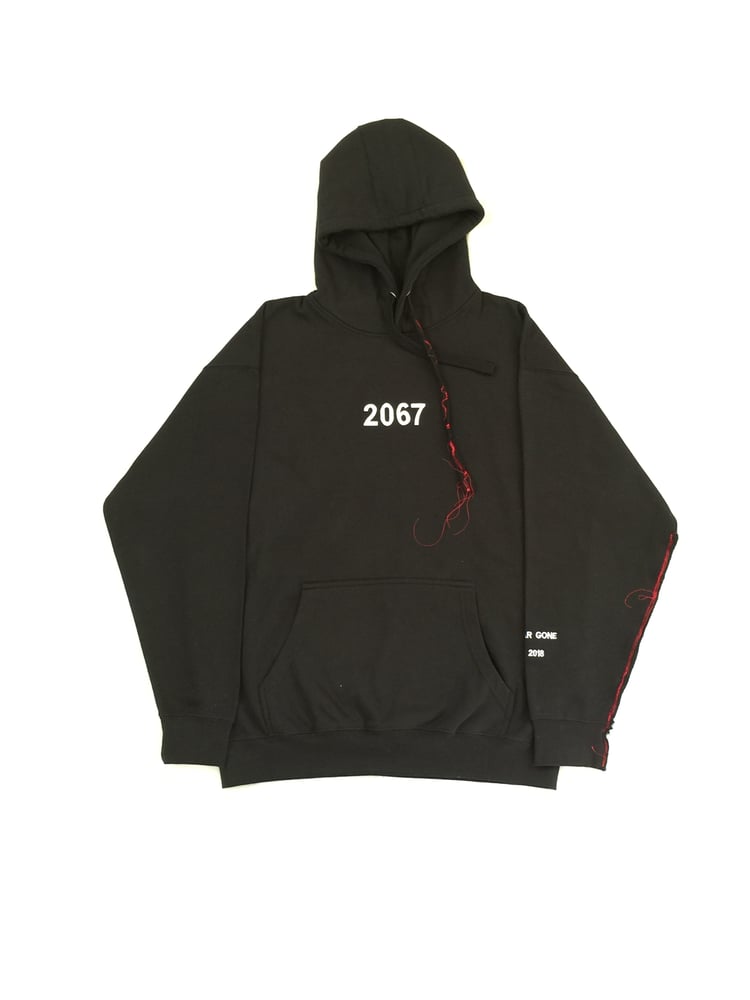 Image of 2067 HOODIE