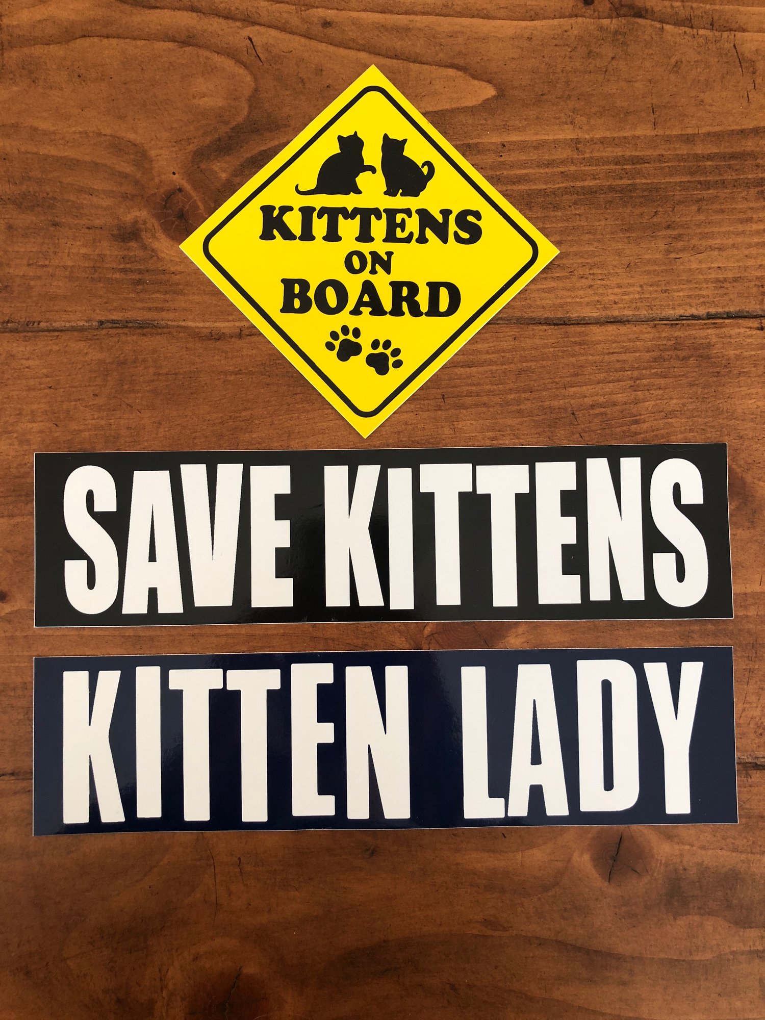 Image of Kittens On Board Sticker Set!