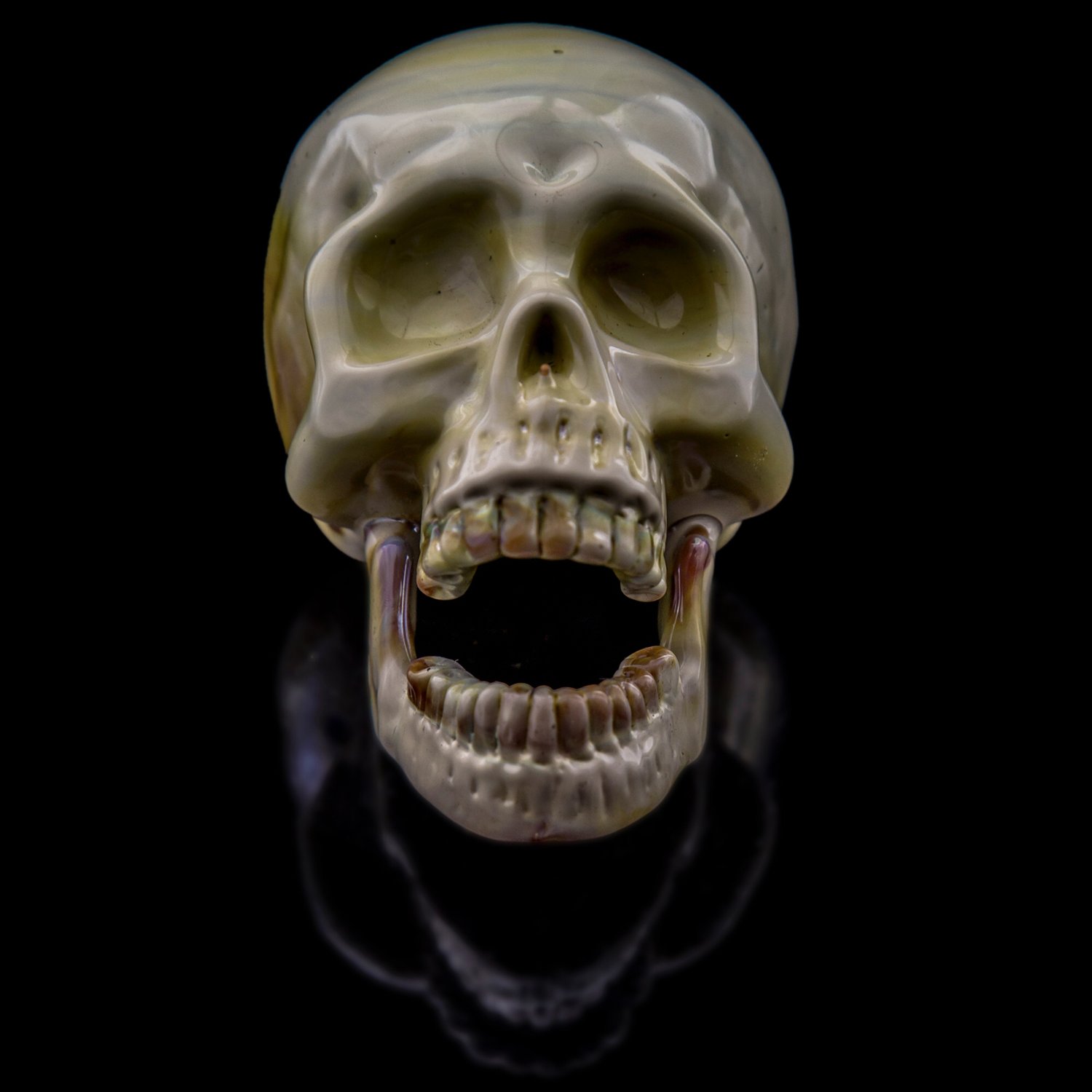 Image of Anatomical Skull
