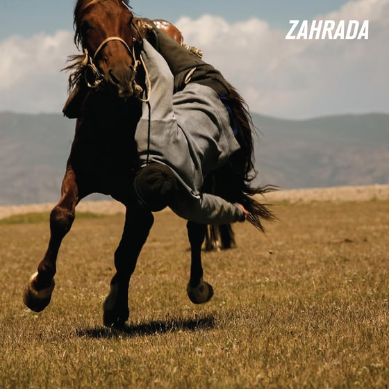 Image of LADV101 - ZAHRADA "st" LP