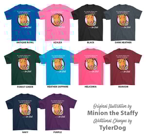 Image of Be Kind t-shirt