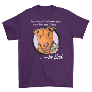 Image of Be Kind t-shirt