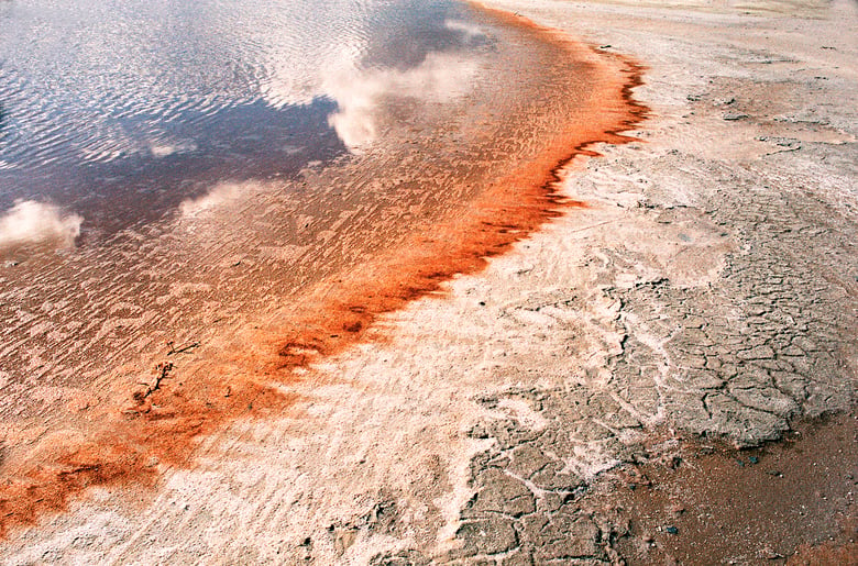 Image of Let It Bleed, Murray-Sunset National Park