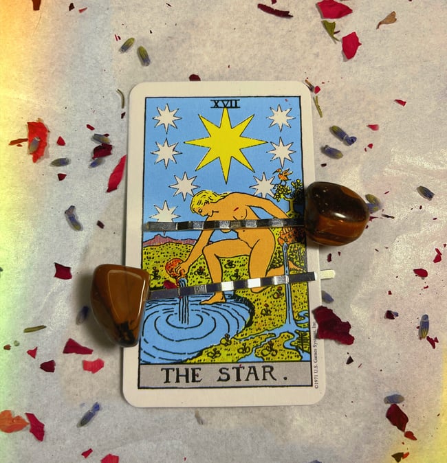 Tigers Eye Hair Clips