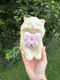 Image 2 of Medium Kitties 