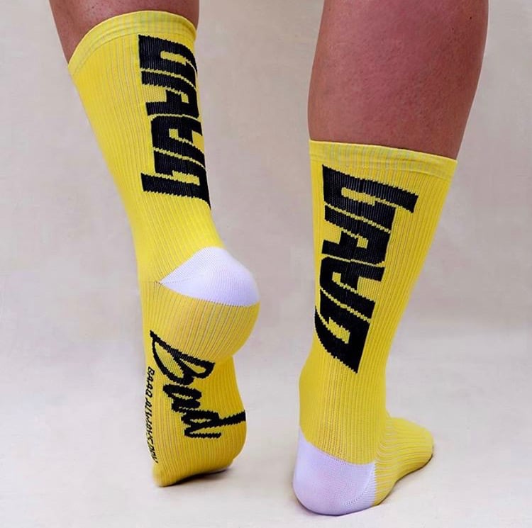 Image of FRENCH CHAMPION PERFORMANCE SOCKS