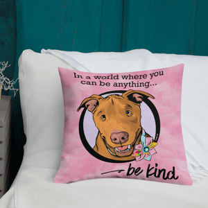 Image of Be Kind Pillow