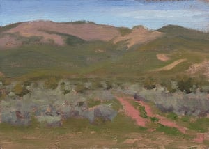 Image of Purple Sage