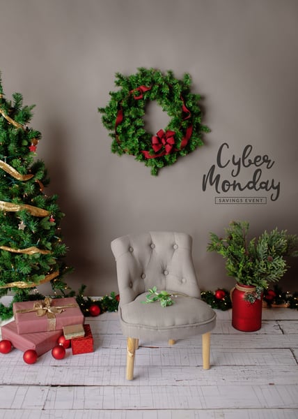 Image of Holiday Mini Session