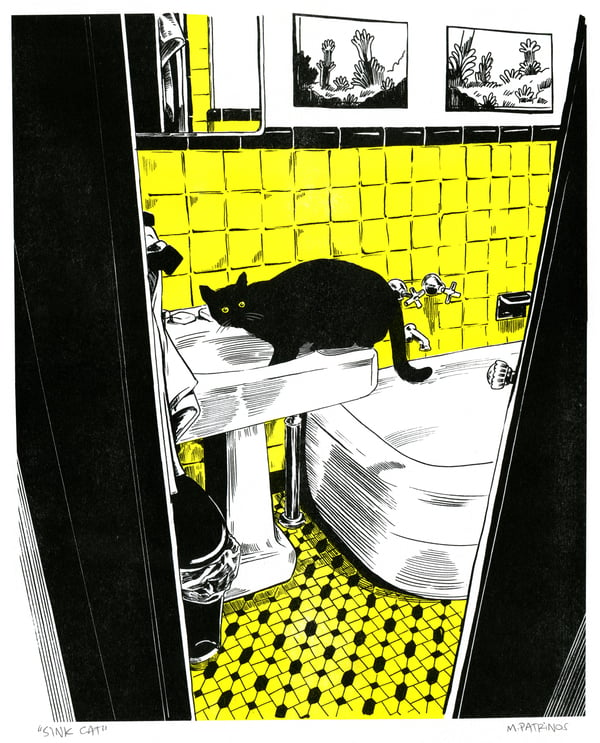 Image of Sink Cat