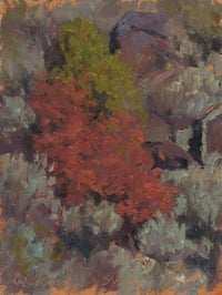 Autumn at John Dunn Bridge