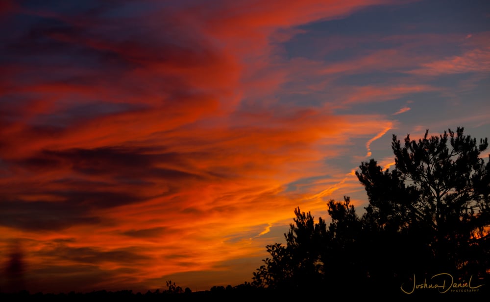 Image of PHOENIX SKY