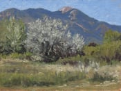 Image of Pueblo Peak