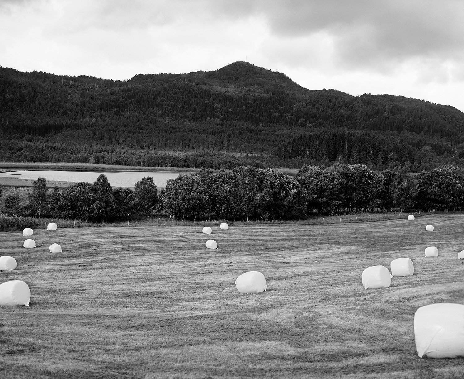 Image of Blank Hay Bales, Norway