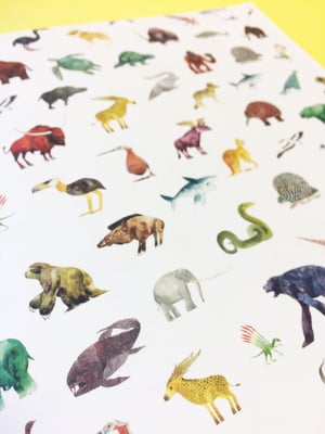 Image of Forgotten Beasts - Signed/Drawn Hardback