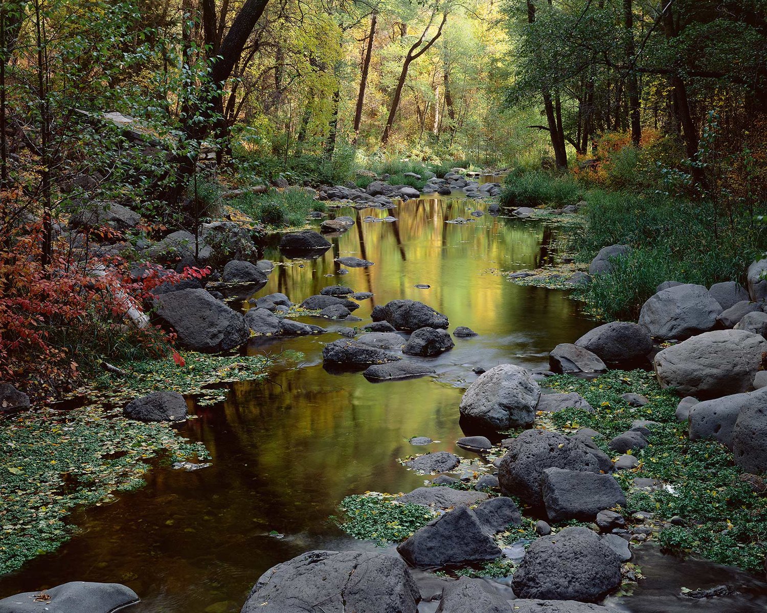 Image of Oak Creek, Autumn, Oak Creek Canyon, Arizona