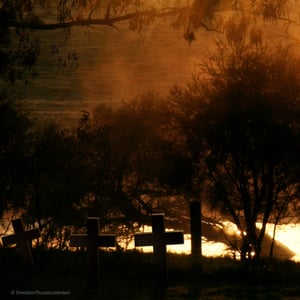 Image of Zelda - Stalfos 'Nights