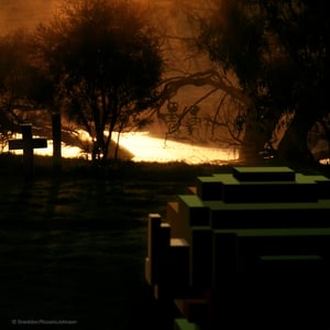 Image of Zelda - Stalfos 'Nights