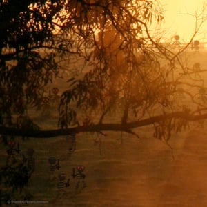 Image of Zelda - Stalfos 'Nights