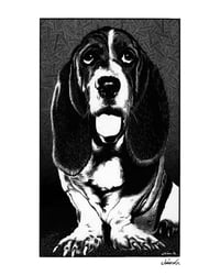 BASSET HOUND poster print
