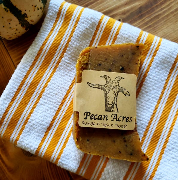 Image of Pumpkin Spice Goats Milk Soap
