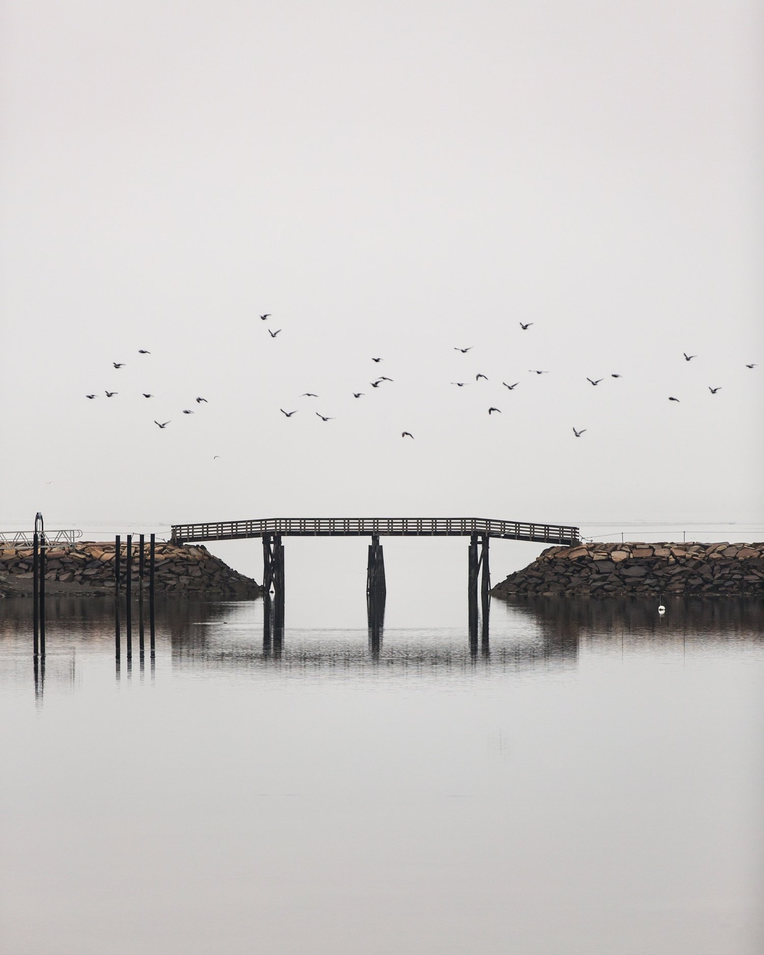 Image of Plymouth Jetty Bridge Birds